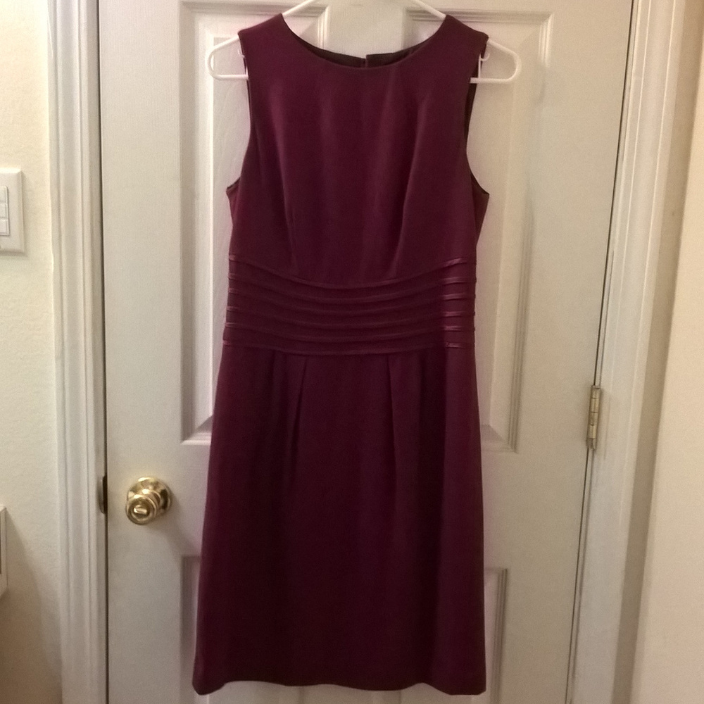 Banana Republic Magenta/Fuchsia Shift Dress Size 4